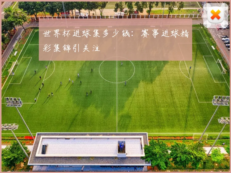 世界杯进球集多少钱：赛事进球精彩集锦引关注