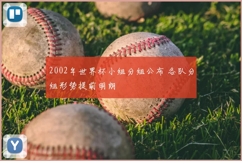 2002年世界杯小组分组公布 各队分组形势提前明朗