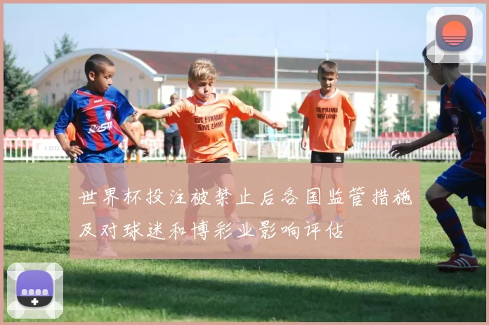 世界杯投注被禁止后各国监管措施及对球迷和博彩业影响评估